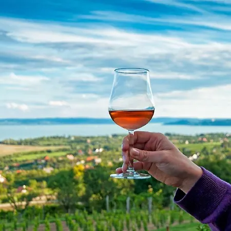 Holiday In Balaton 20237 * 蒂豪尼